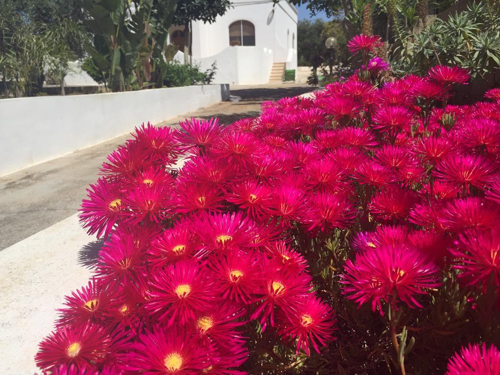 Mare Relax Villa Lido Marini Eksteriør bilde